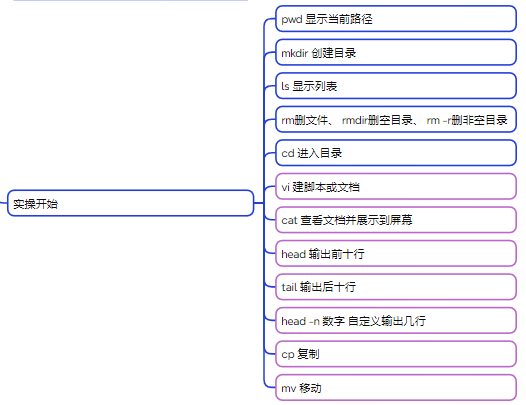 实操知识