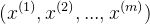 (x^{(1)}, x^{(2)},...,x^{(m)})