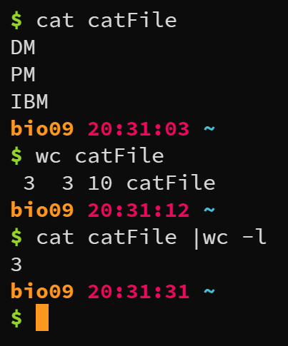 直接用wc会同时显示文件名，使用cat+管道符传递不显示文件名