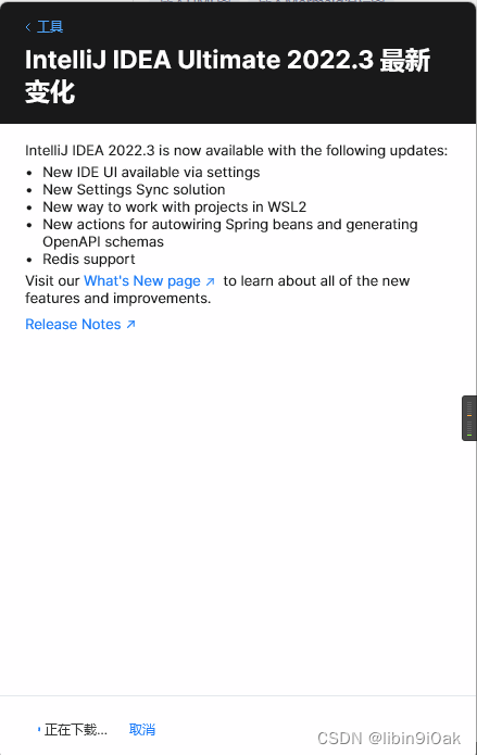 idea又双叒叕更新大版本了intellijidea20223正式发布详情请参考博文