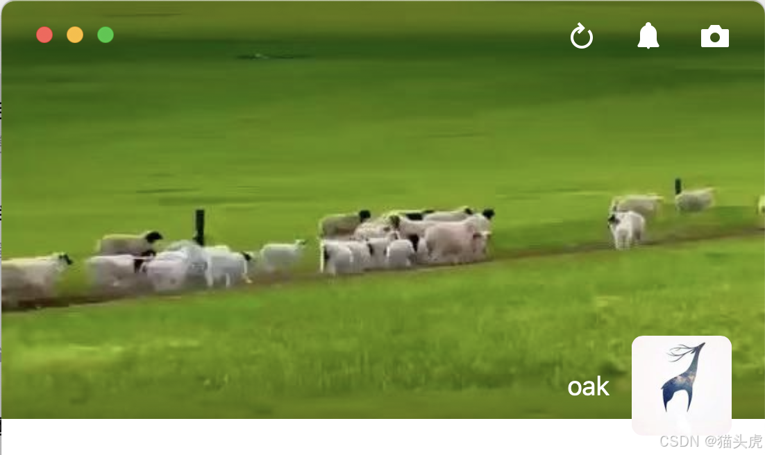 参考Mac微信朋友圈入口