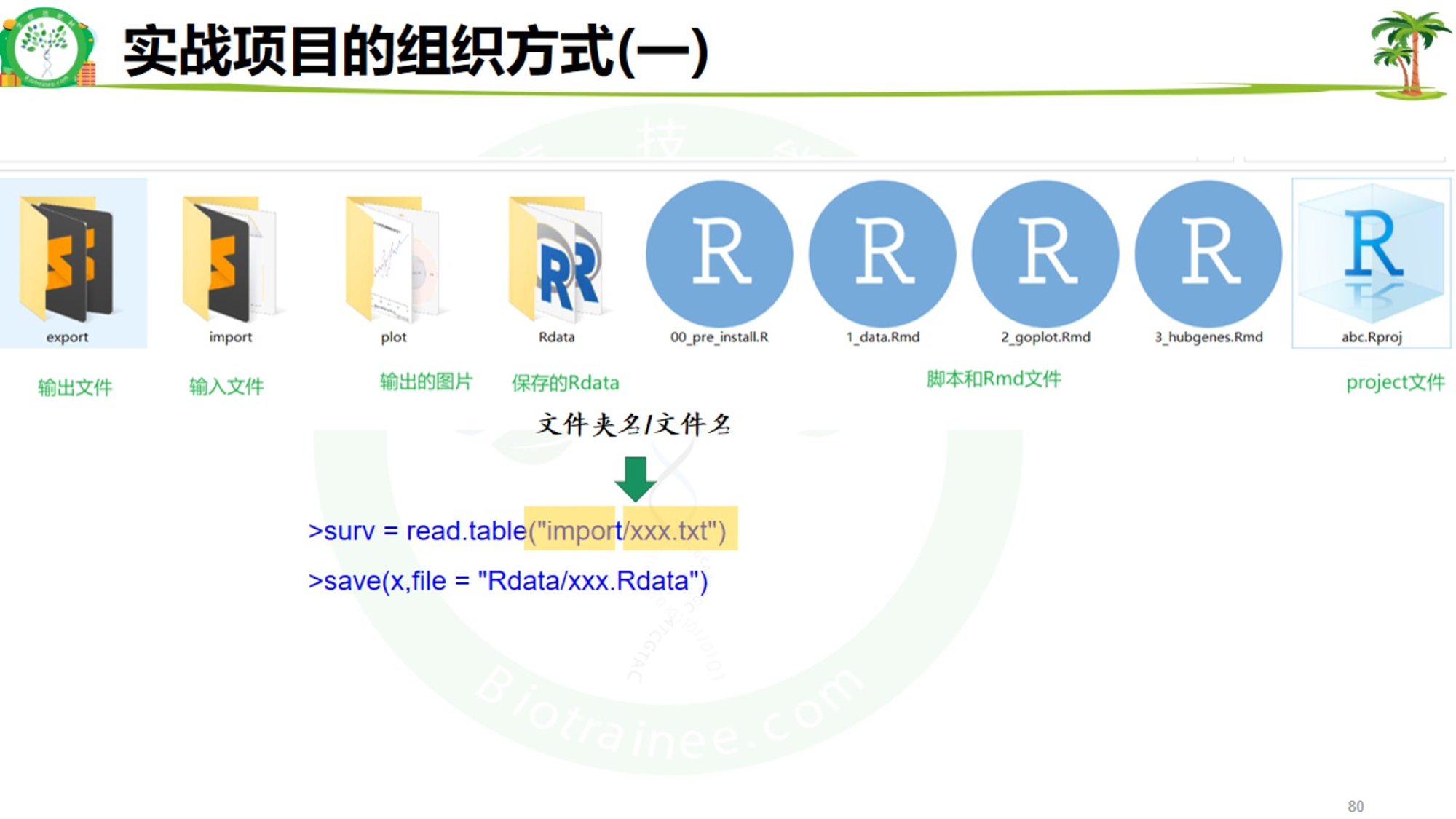 按文件类别存放