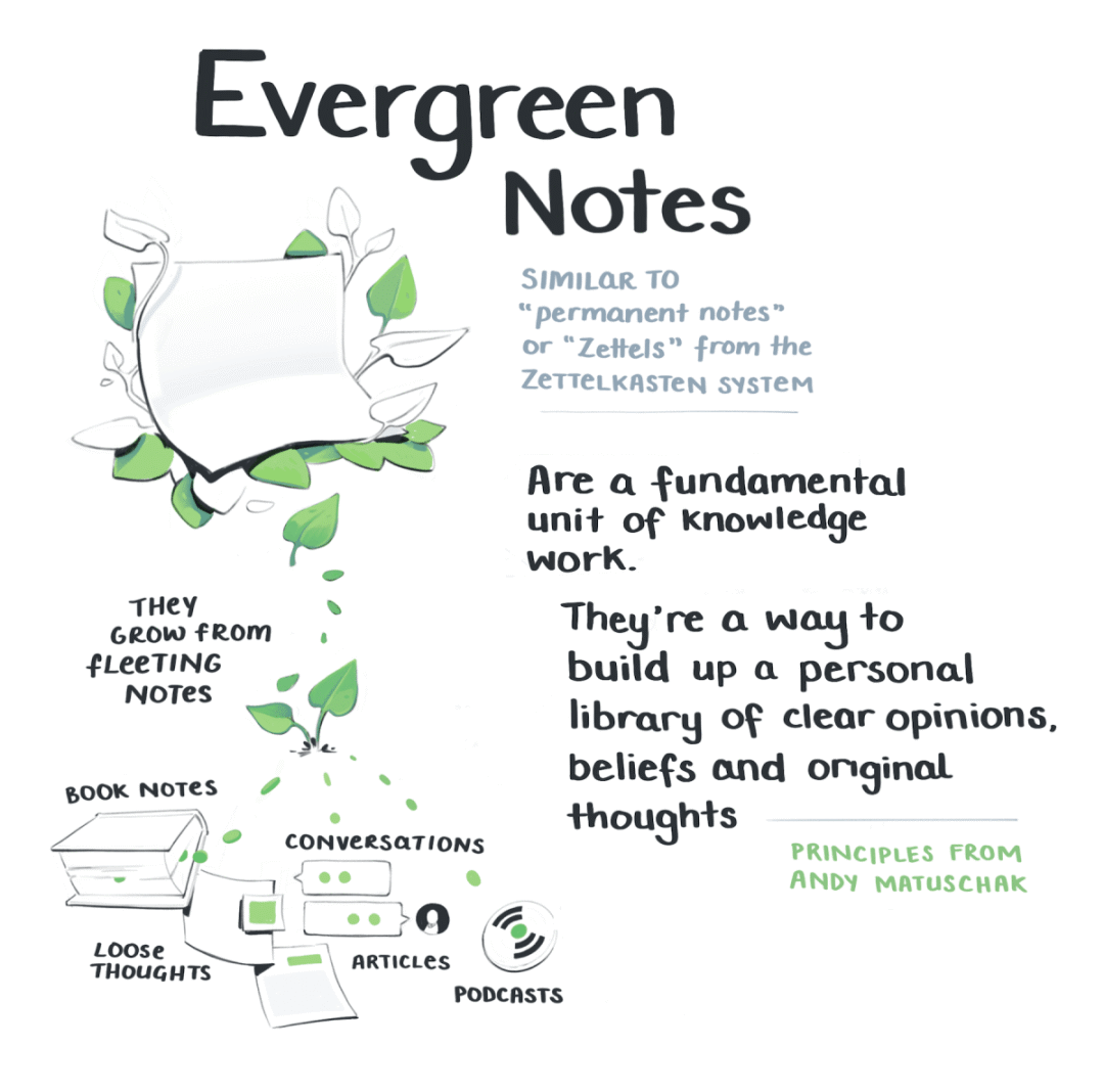 Growing the Evergreens