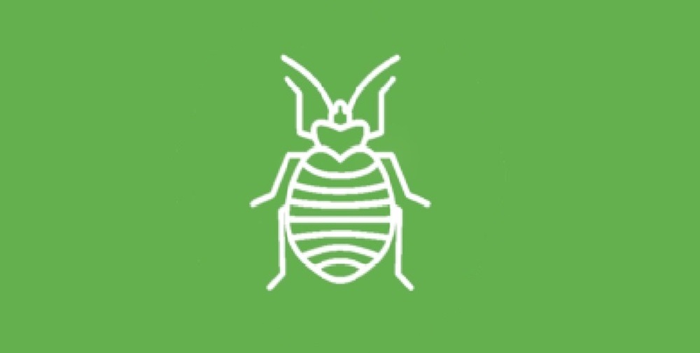flea-auth使用之用户子模块介绍