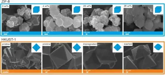 HKUST-1样品的畸变八面体的SEM图像