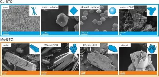 Mg/BTC的不同形态