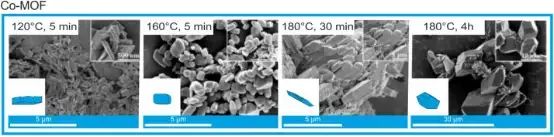 Co-MOF微晶的SEM图像