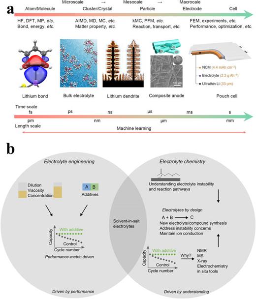 离子输运特性的多尺度建模
