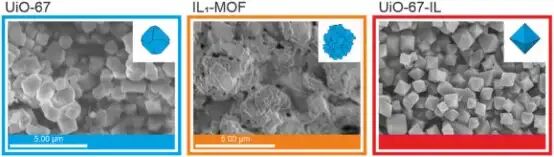 UiO-67衍生的MOF的SEM图像