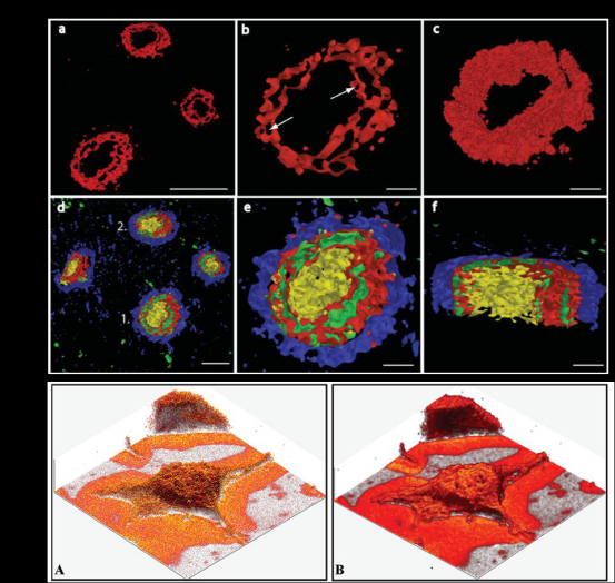 高分辨率化学3D成像