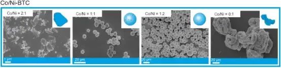 Co/Ni BDC的形态