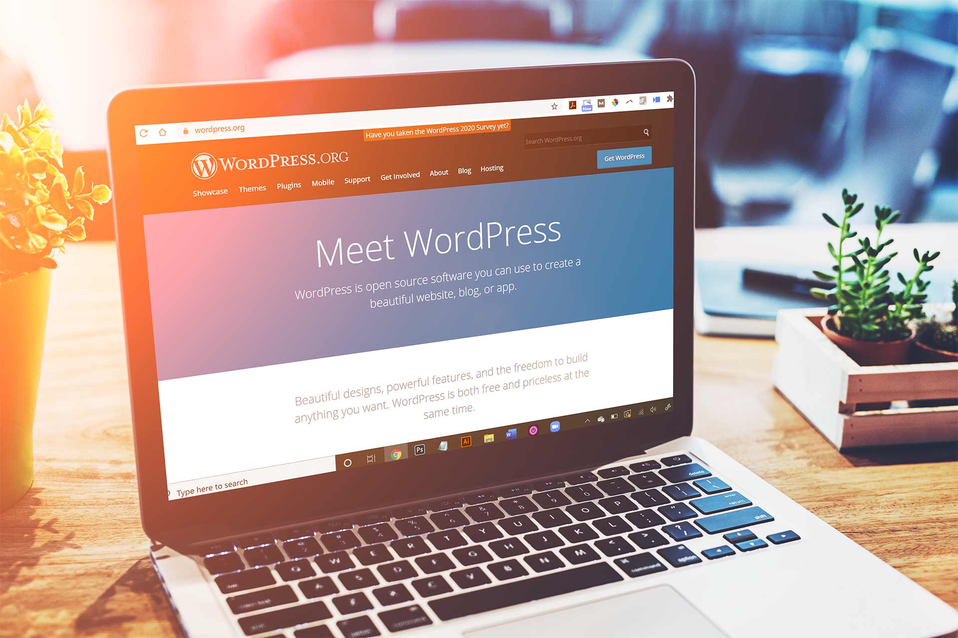 在宝塔上搭建WordPress网站的详细教程