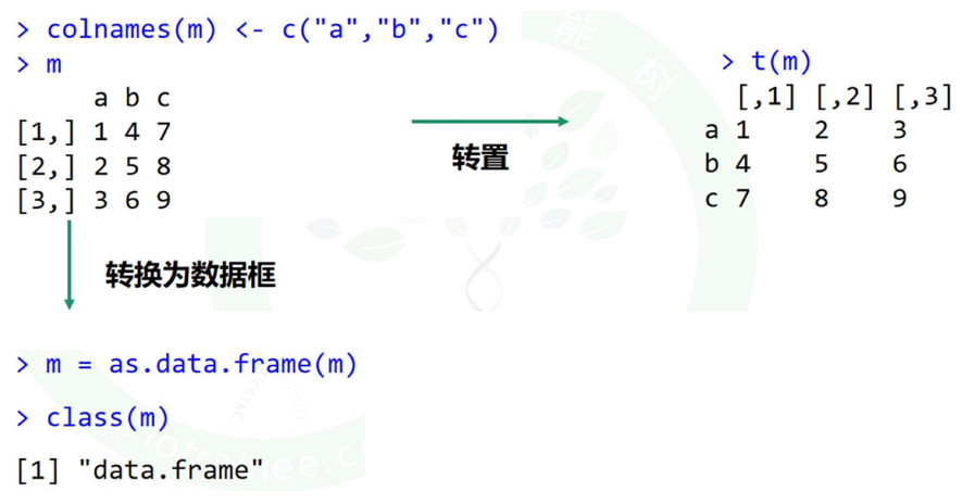 R语言里没有赋值，修改就没有发生