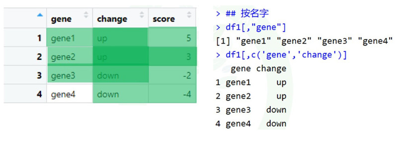 按名字提取子集