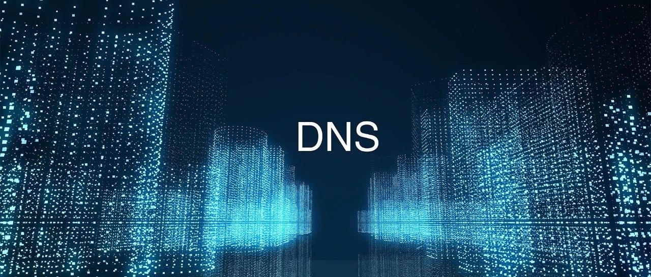 从 KIND 环境中了解到的有趣的 DNS 事实
