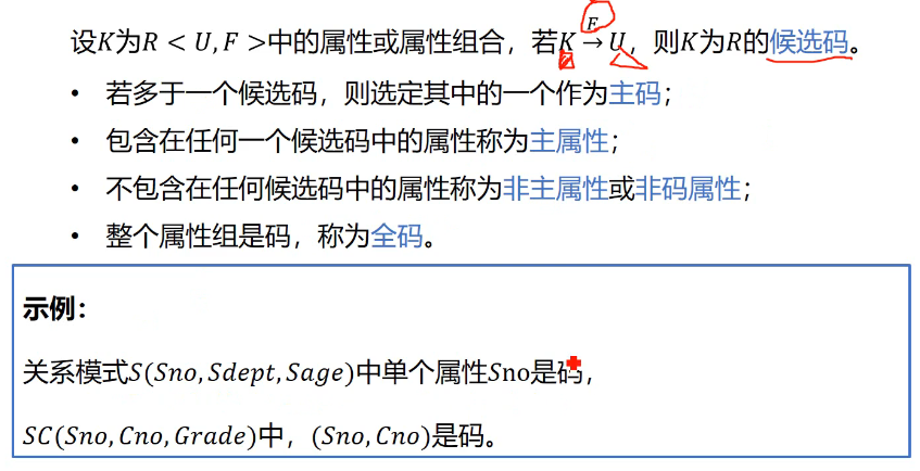 image-20241119100807013