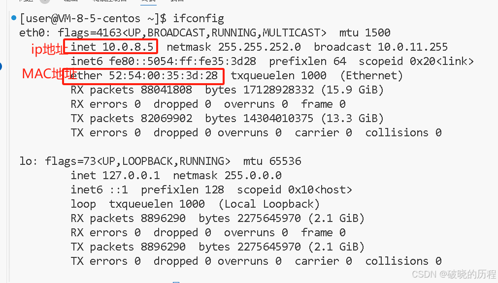 【Linux】网络新兵连