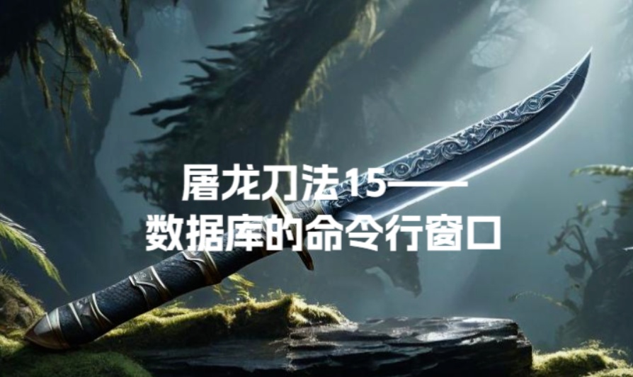 屠龙刀法15&mdash;&mdash;数据库的命令行窗口