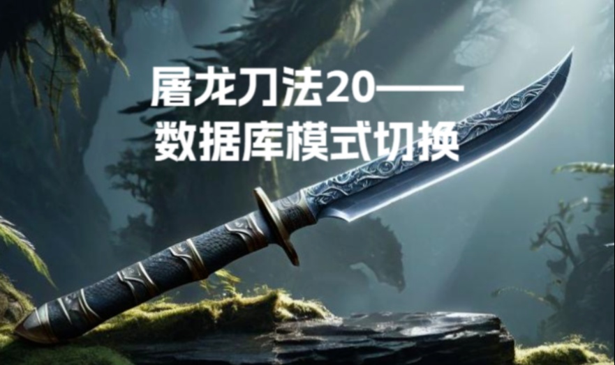 屠龙刀法20&mdash;&mdash;数据库模式切换
