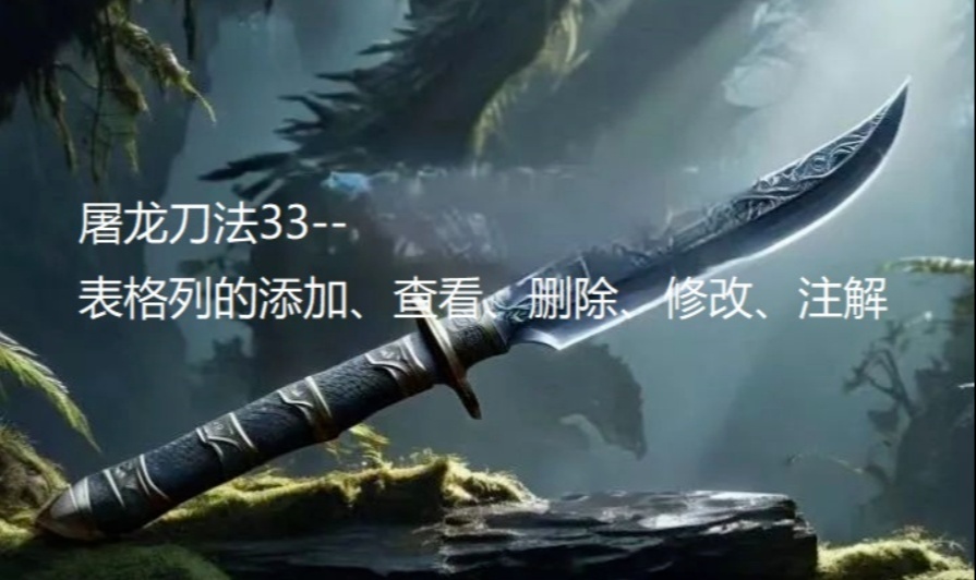 屠龙刀法33--表格列的添加、查看、删除、修改、注解