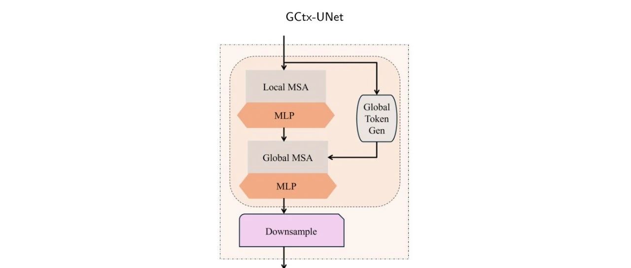 超越传统 UNet ，GCtx-UNet  结合全局与局部特征，实现高效图像分割 ！