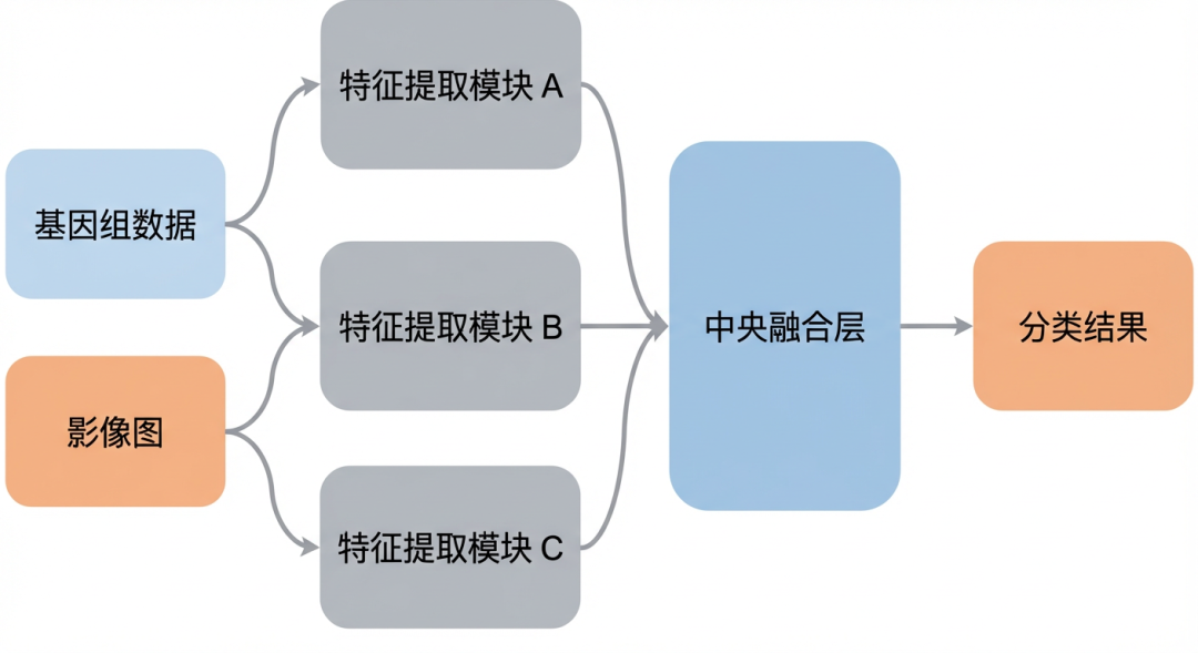 科学图表风格，扁平化设计，无阴影。左侧是双流输入（基因组数据 + 影像图），中间是三个并行的特征提取模块（圆角矩形），汇聚到一个中央融合层。右侧输出分类结果。配色使用高级的莫兰迪色系（淡蓝、灰、柔和的橙）。箭头线条流畅，排版整齐