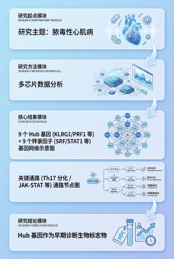 期刊级学术技术路线图，竖版 2:3 画幅，极简科技风 + 浅蓝渐变背景，信息层级清晰。整体分为 4 个模块，用流线型箭头串联：
研究起点模块：顶部标注 “研究主题：脓毒性心肌病（Septic Cardiomyopathy）”，搭配心脏 + 感染微生物的简约 3D 图标；
研究方法模块：标注 “多芯片数据分析（Multimicroarray Analysis）”，配芯片与数据图谱的矢量图标；
核心结果模块：分 2 层展示 —— 上层是 “9 个 Hub 基因（KLRG1/PRF1 等）+9 个转录因子（SRF/STAT1 等）” 的基因网络示意图；下层是 “关键通路（Th17 分化 / JAK-STAT 等）” 的通路节点图，标注通路调控的免疫过程（炎症反应 / 免疫分化等）；
研究结论模块：底部标注 “Hub 基因作为早期诊断生物标志物”，配 “生物标志物 + 临床预测” 的简约图标。
整体风格：线条简洁、配色以浅蓝 + 白为主，无多余装饰，兼具学术严谨性与高级视觉质感，文字标注精准对应研究元素。