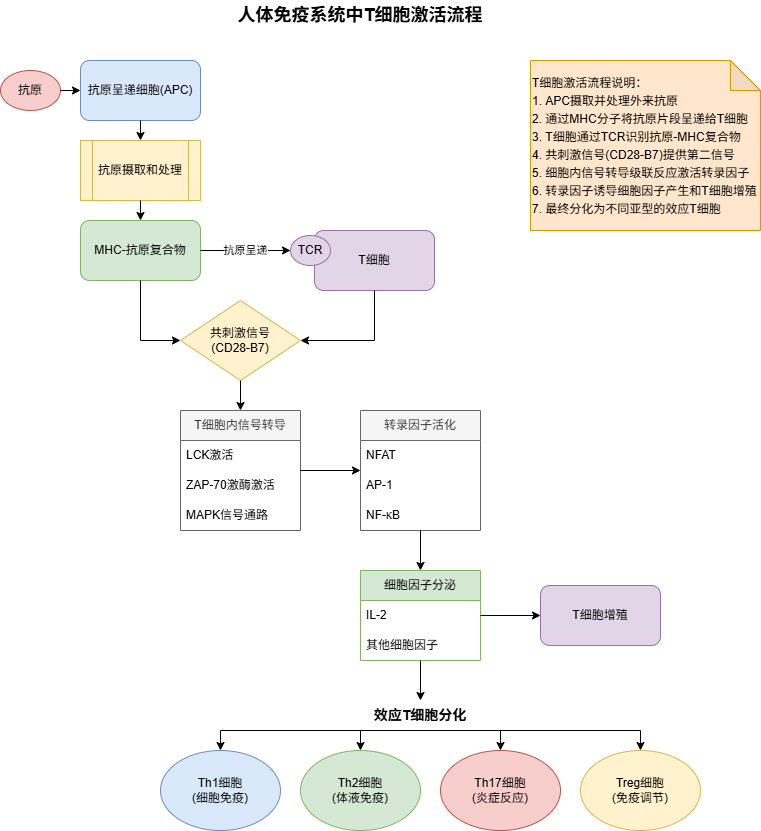 Claude绘图调整后