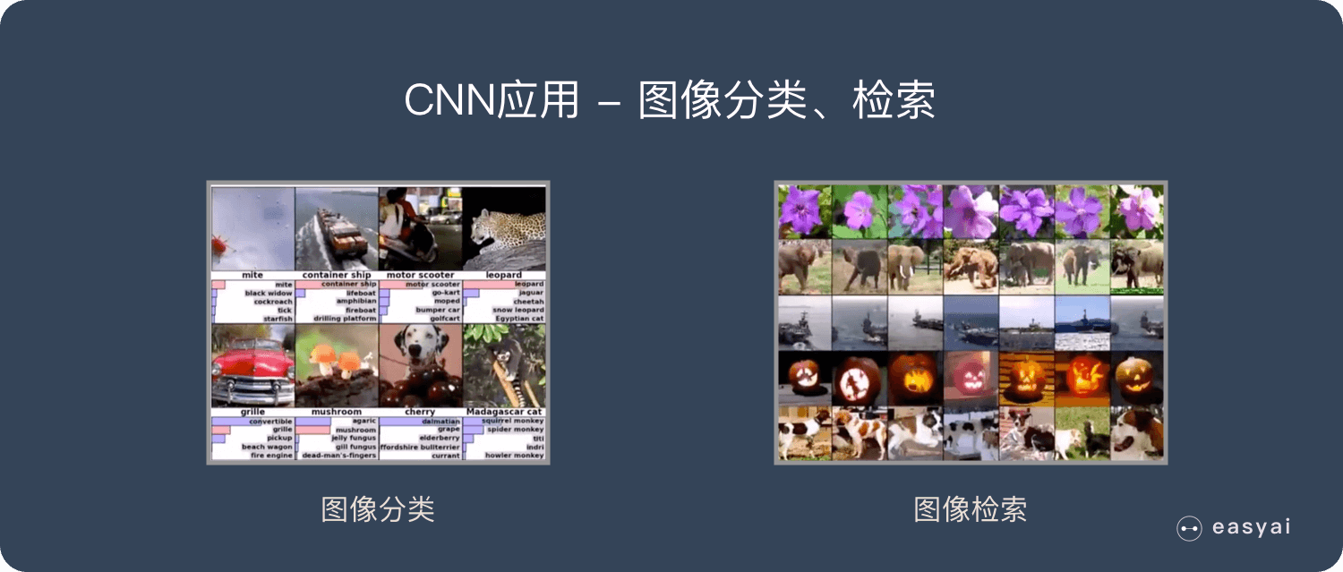 CNN应用-图像分类、检索