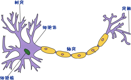 人工神经网络是什么