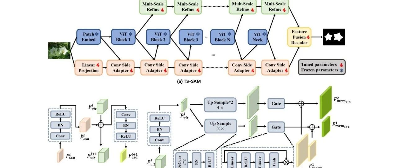 TS-SAM 通过轻量级卷积侧 Adapter 优化 SAM 微调！