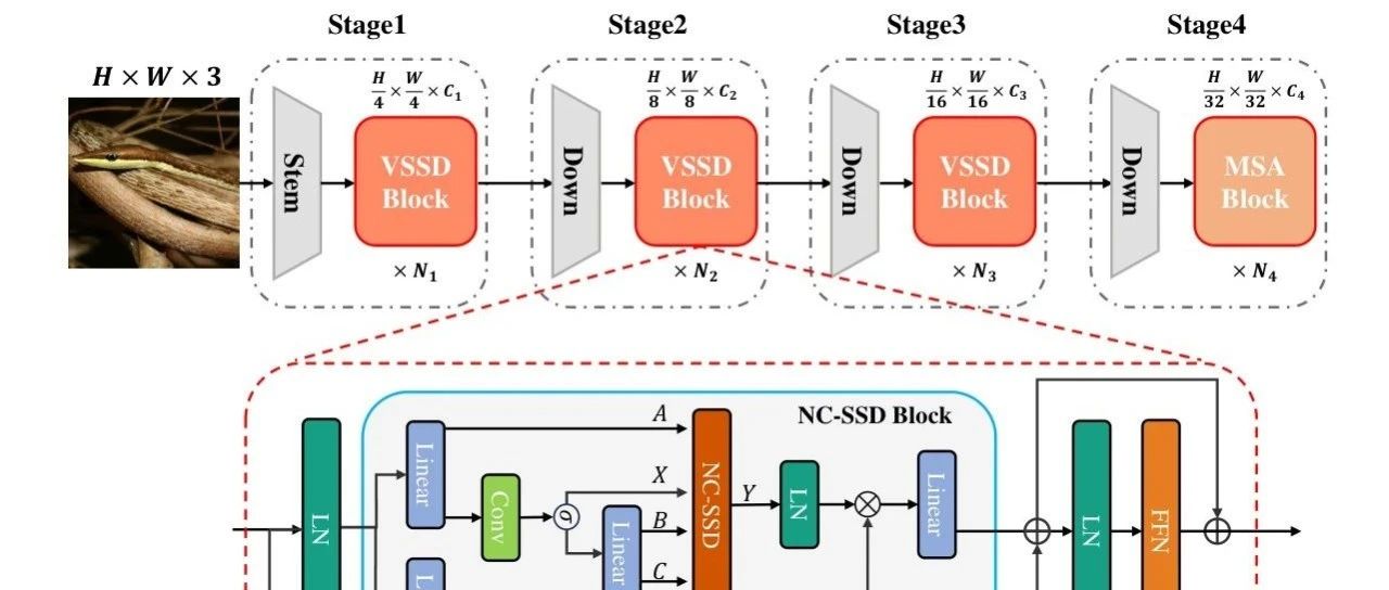 VSSD 在图像分类、检测与分割中的应用， 刷新基于 SSM 的模型 SOTA 榜 ！