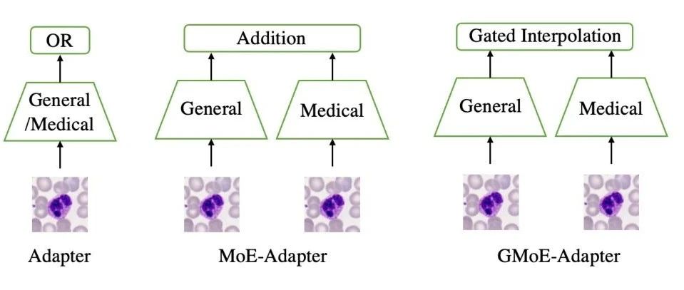 卡内基梅隆大学 & 微软研究院引入 Med-VTAB 用通用预训练权重提高ViTs在视觉任务上性能 ！
