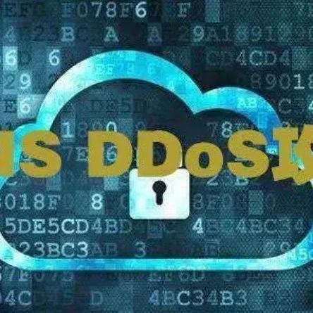 网络工程师必备！掌握这10种DNS攻击类型