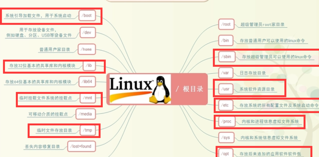 深入探究Linux树状目录结构