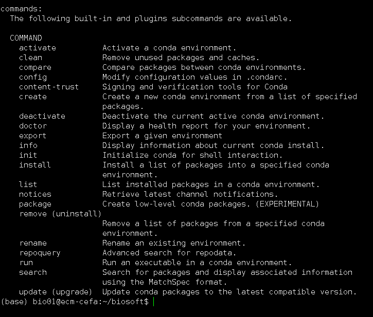 成功的代码截图