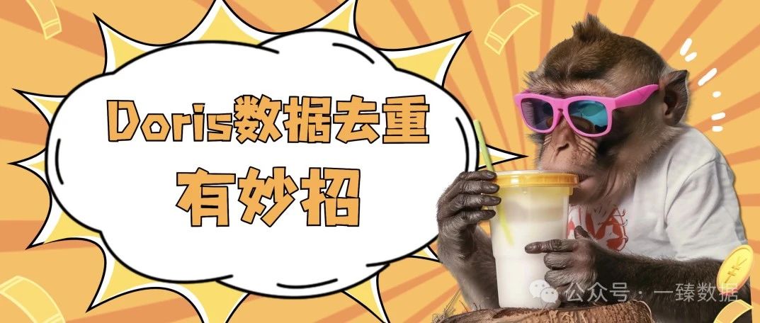 Doris数据去重有妙招，在精确与性能之间达成完美平衡
