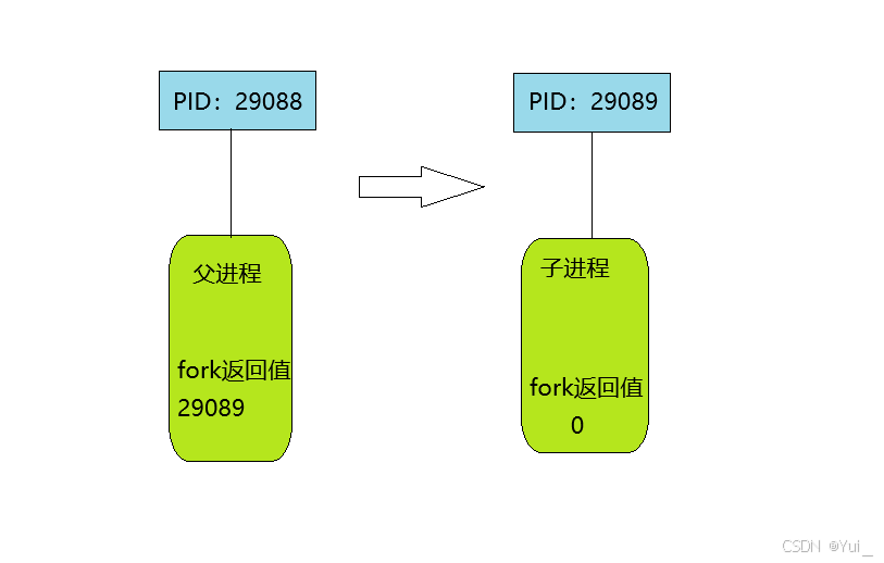 父子进程