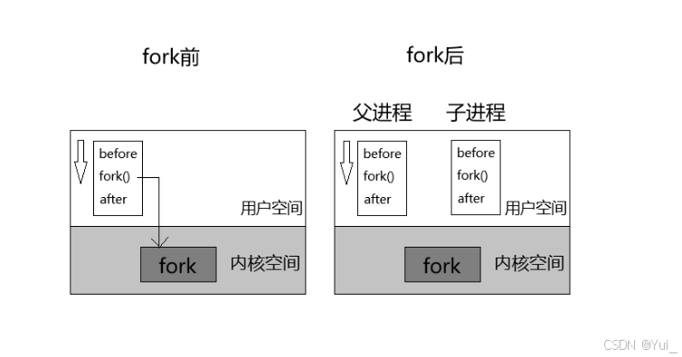 fork的执行情况