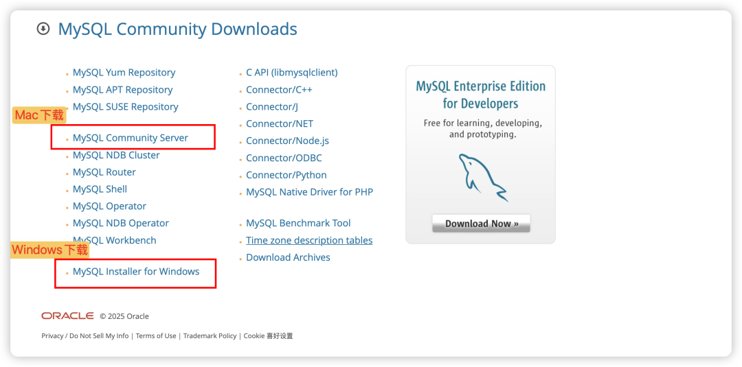image-20250418下午33630576