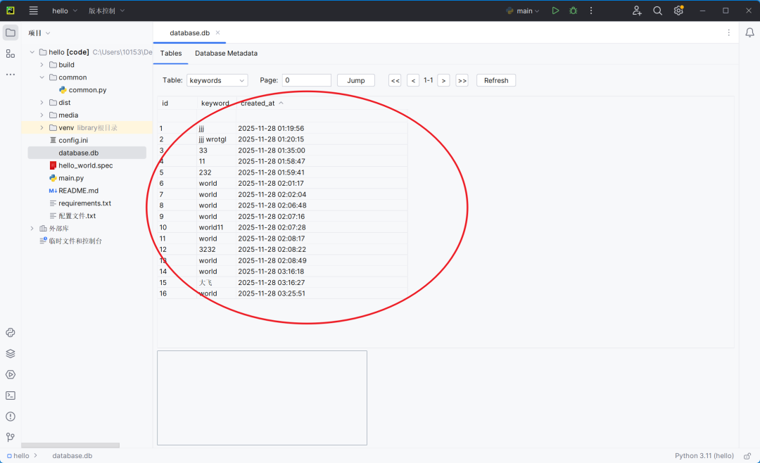 image-20251201110724489