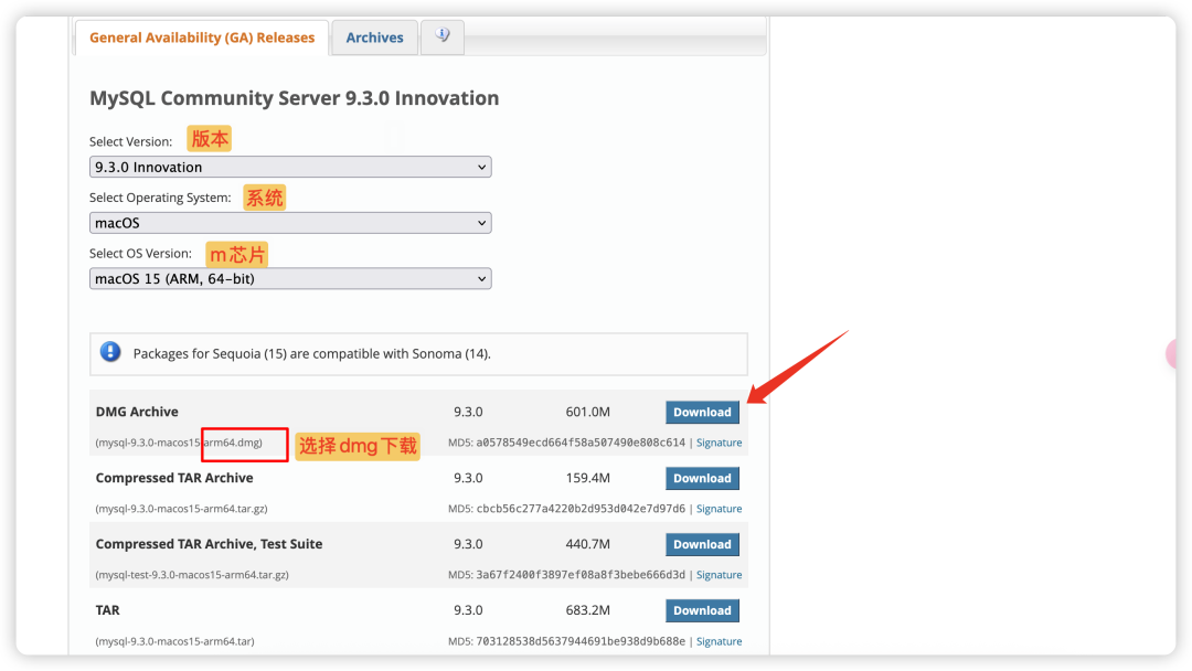 image-20250418下午34129292