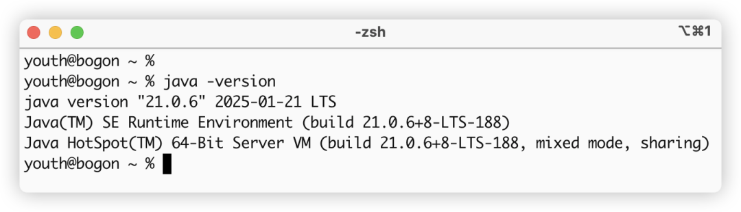 image-20250409下午24405870