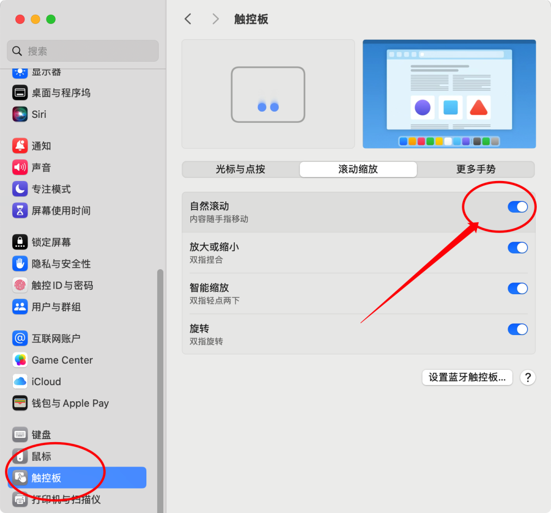 iShot_2026-05-02_上午11.00.04