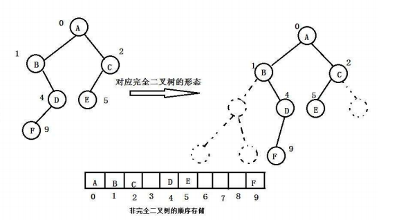 非二叉树的顺序存储