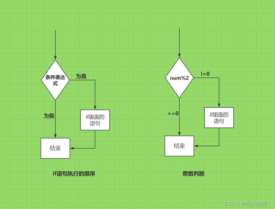 详解C语言中的分支语句（上）