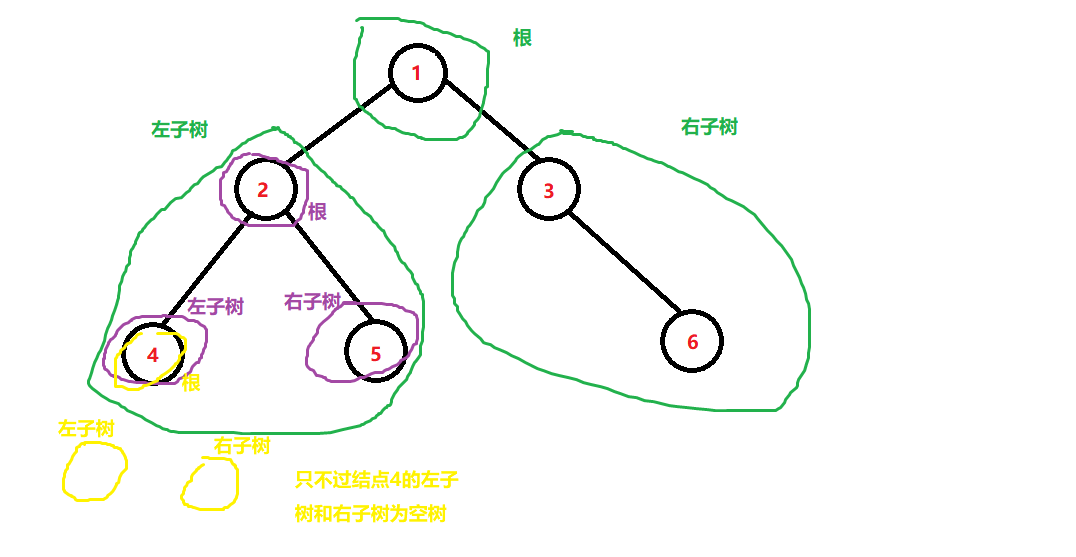 树的剖析图