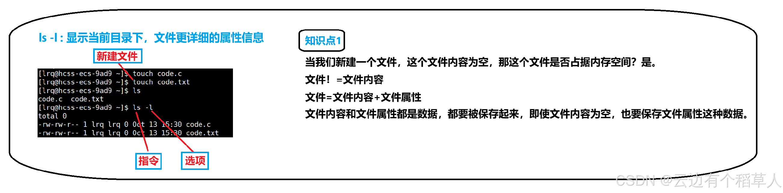 【Linux系统】基本指令-＞详解（1）