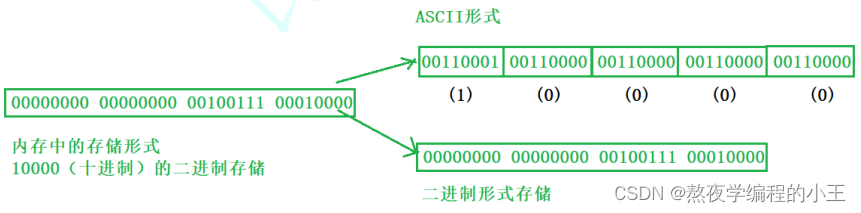 文件的基础必备知识(初学者入门)
