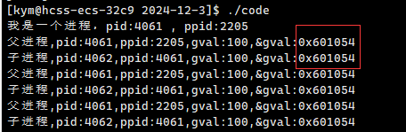【Linux课程学习】： 进程地址空间，小故事理解虚拟地址，野指针